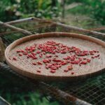 Ayam Geprek Bensu Palembang: Menggugah Selera Pedas